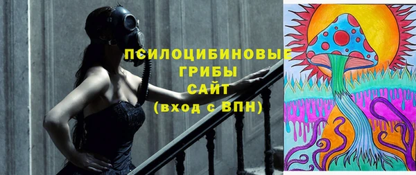 шишки Бугульма