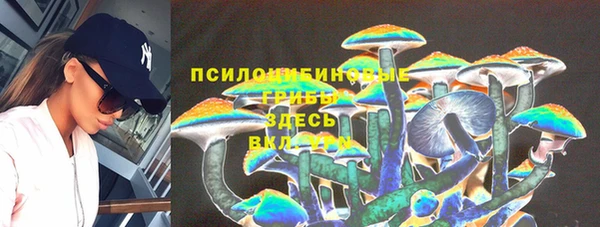 стаф Бородино