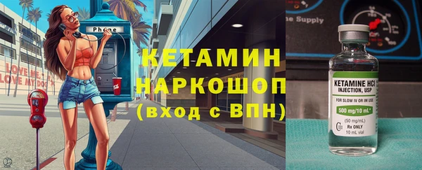 стаф Бородино