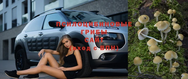 ПСИЛОЦИБИНОВЫЕ ГРИБЫ Верхний Тагил
