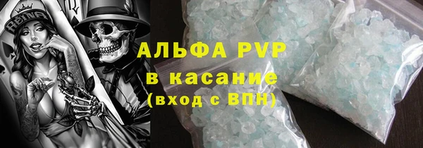 стаф Бородино