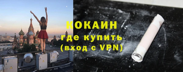стаф Бородино